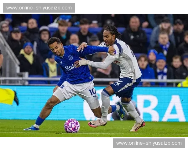 诺维奇vs埃弗顿：英超赛场上的宿命对决，绿茵传奇的碰撞与回响